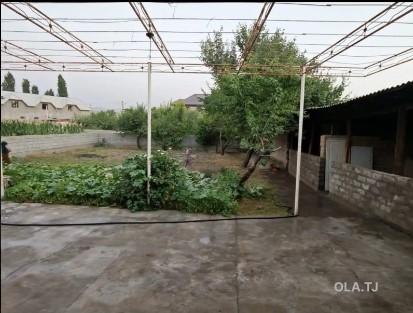 Дом (хавли), 1 комнат, 1 эт