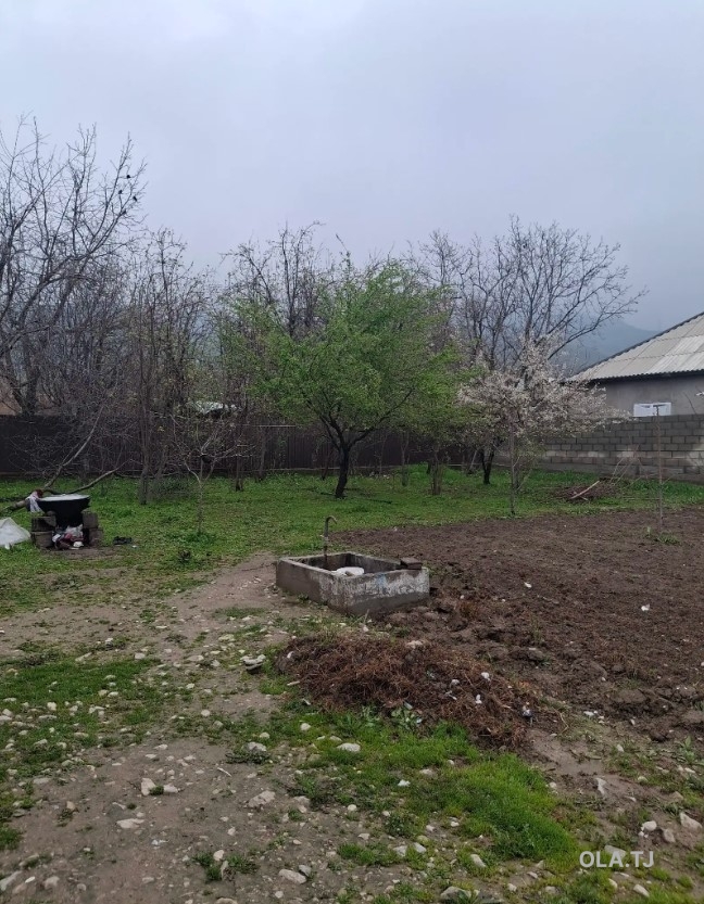 Дом (хавли), 3 комнат, 1 эт