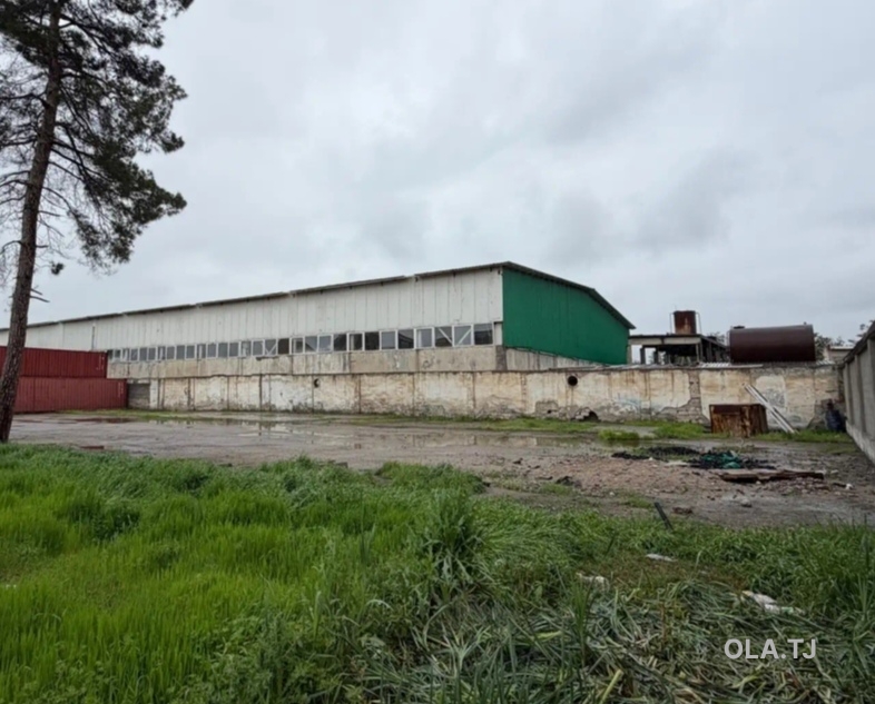Офис в аренду, В жилом доме, 2000 м²