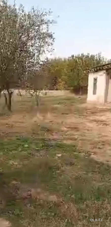 Дом (хавли), 2 комнат,