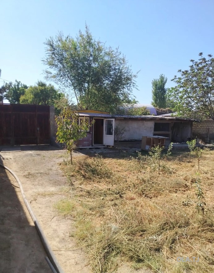 Дом (хавли), 1 комнат, 1 эт