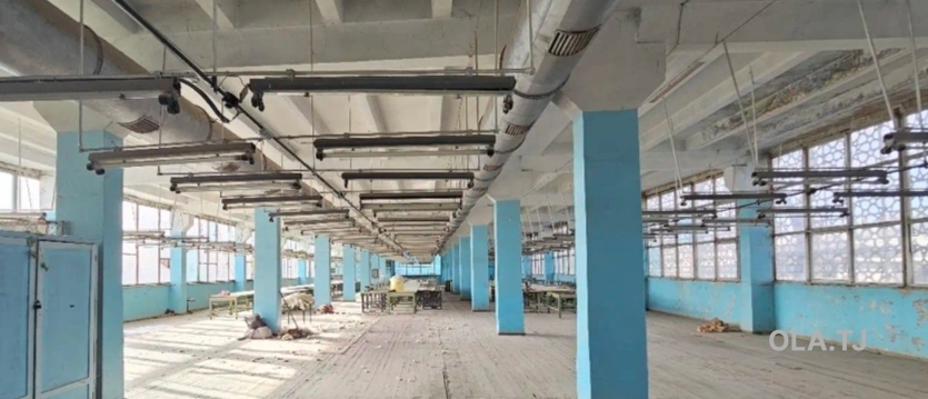 Офис в аренду, В бизнес-центре, 2000 м²