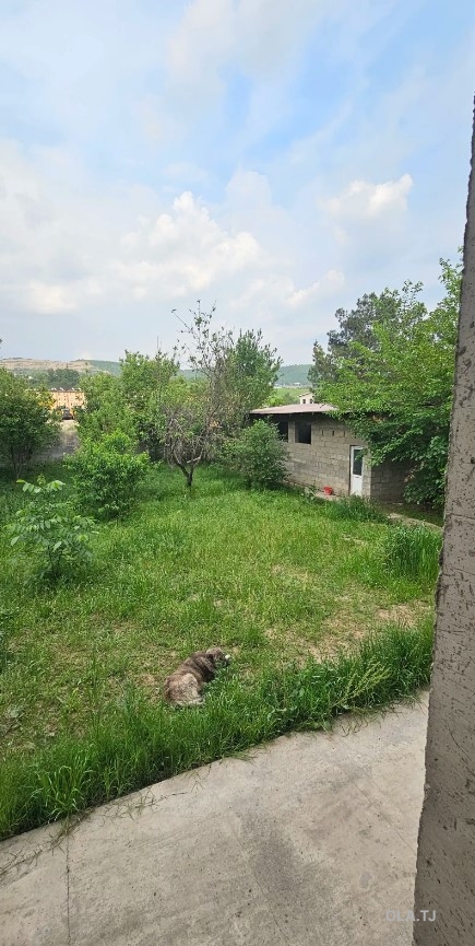 Дом (хавли), 8 комнат, 3 эт
