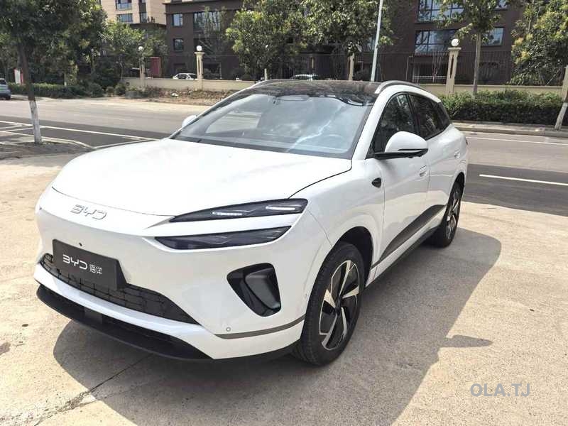 BYD Sea Lion 06,  2026