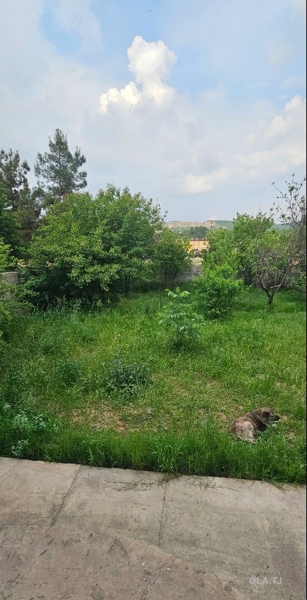 Дом (хавли), 8 комнат, 3 эт