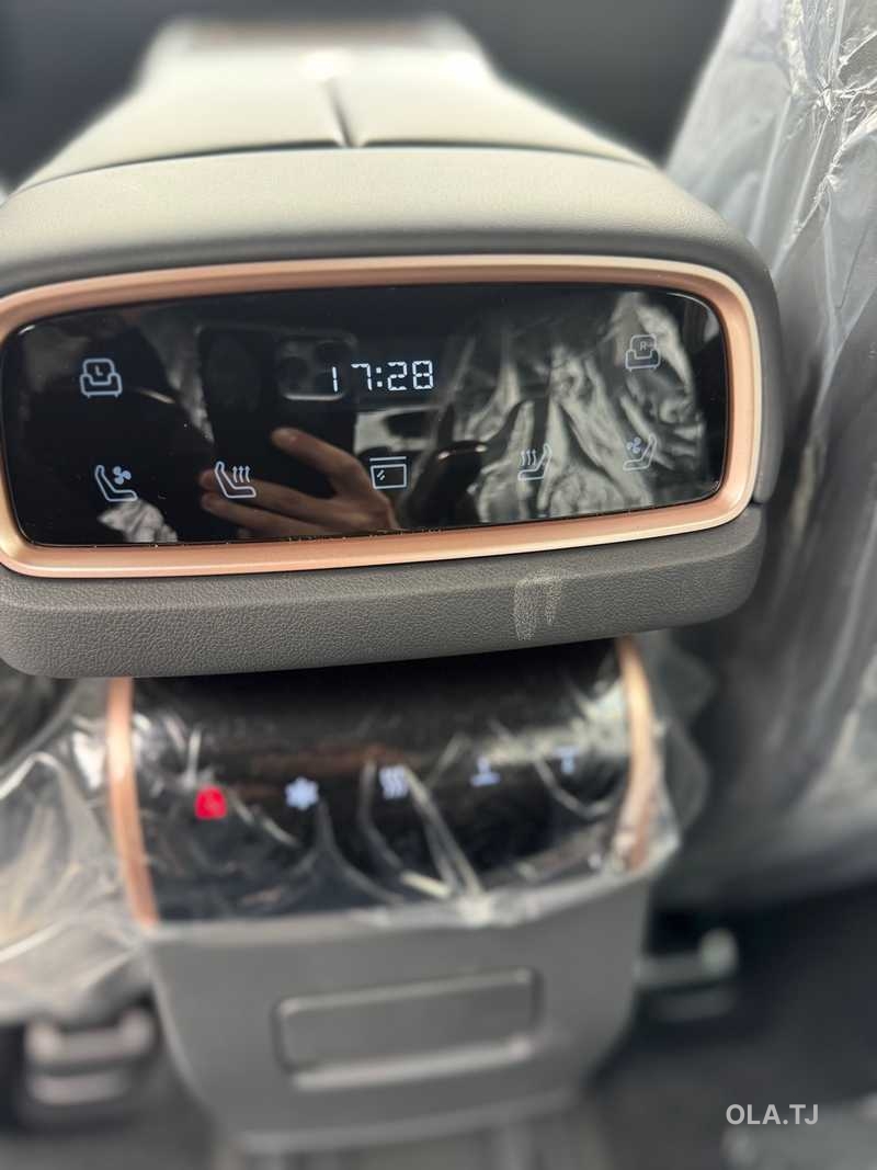 Dongfeng EP 008, 2025