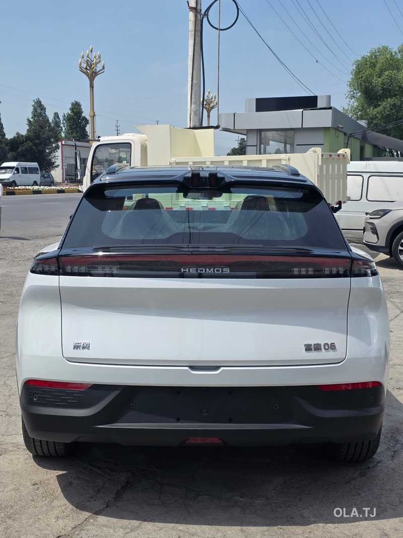 Dongfeng hedmos 06, 2025