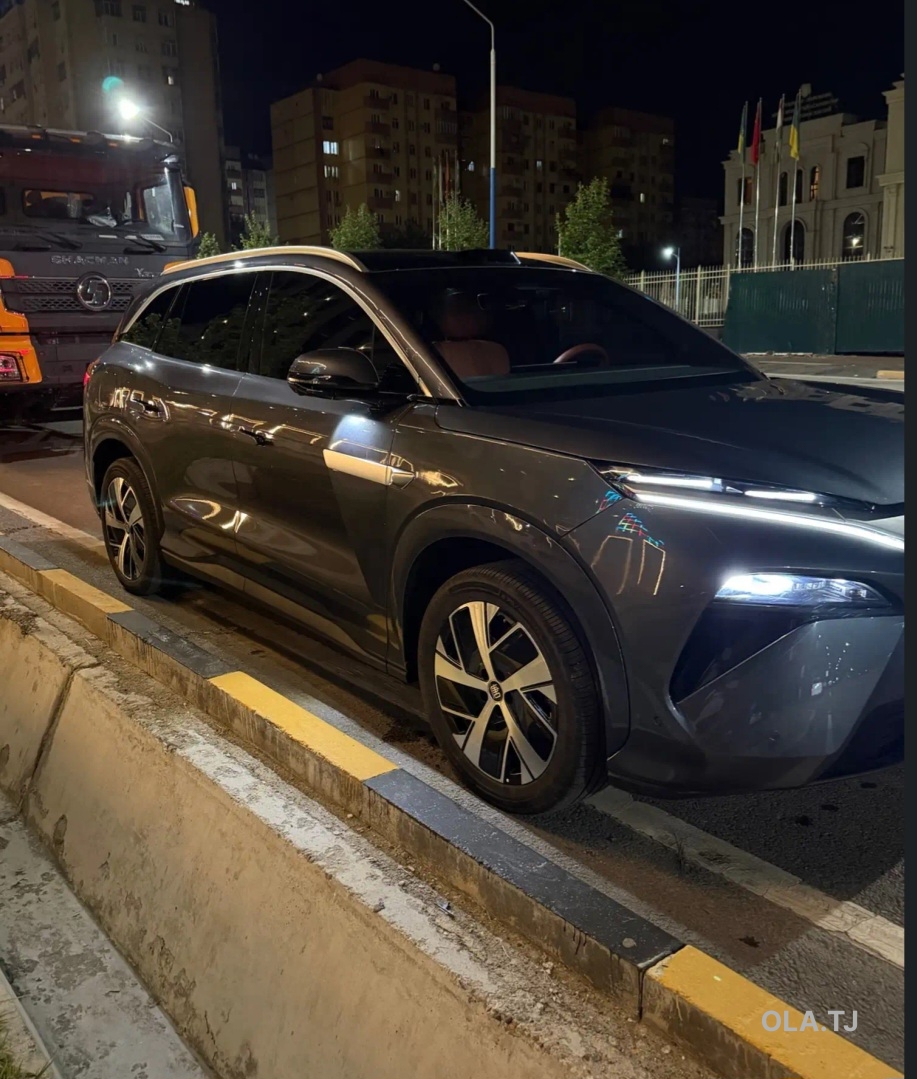 BYD Tang L,  2025