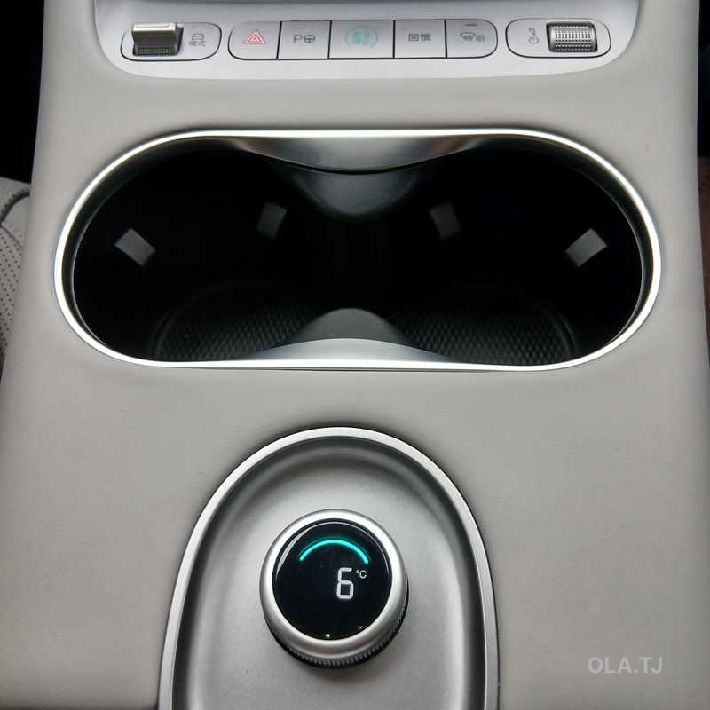 BYD Sea Lion 06,  2026