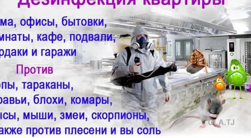 Дезинфекция квартир