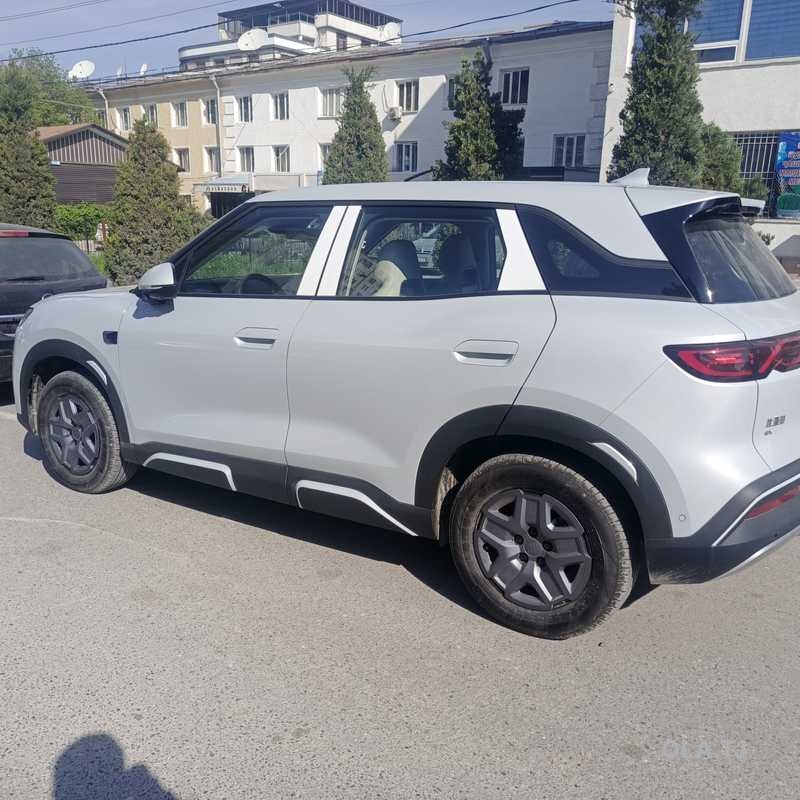 BYD Yuan Up,  2025