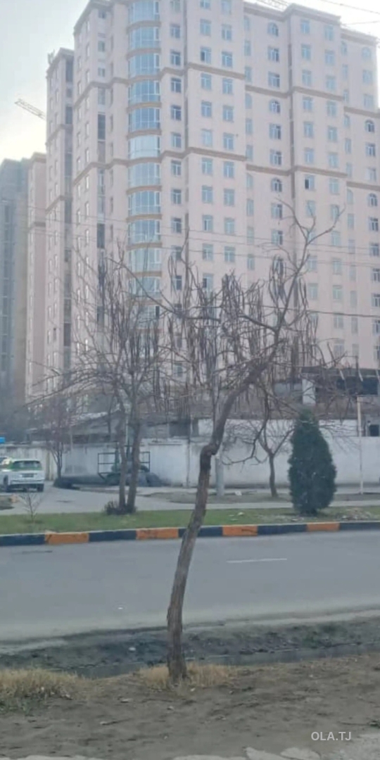 Помещение под магазин / салон, 74м², Диагностика Каператор
