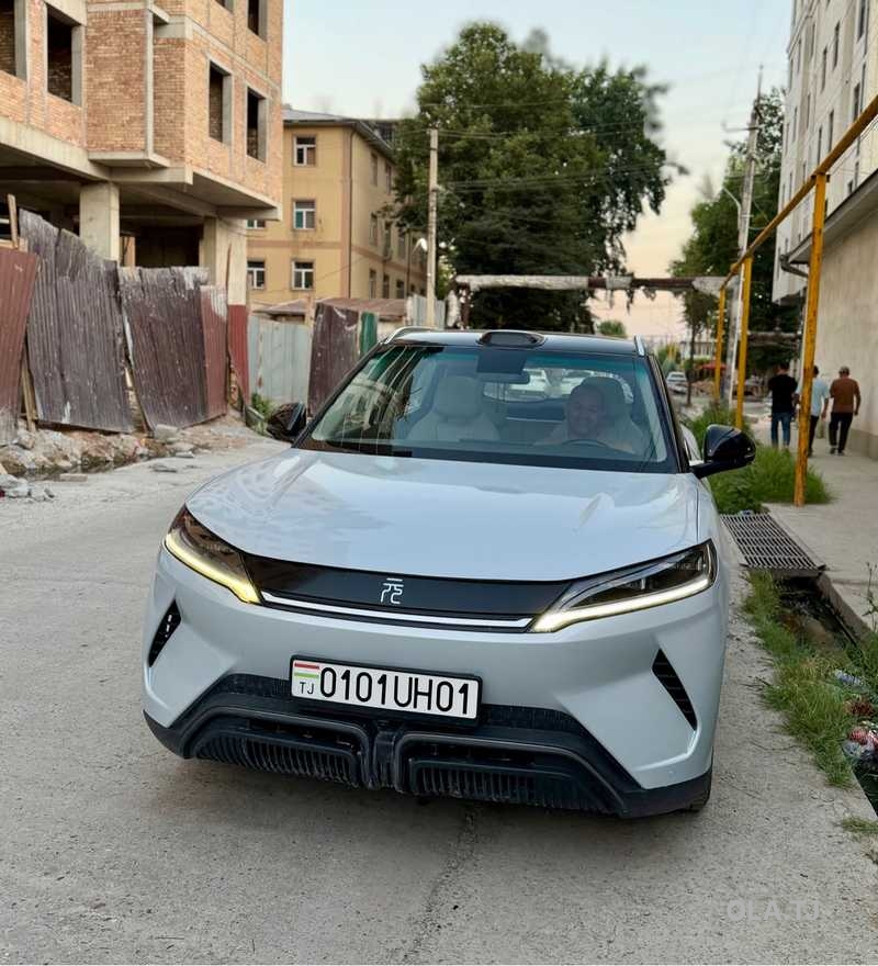 BYD Yuan Up,  2024
