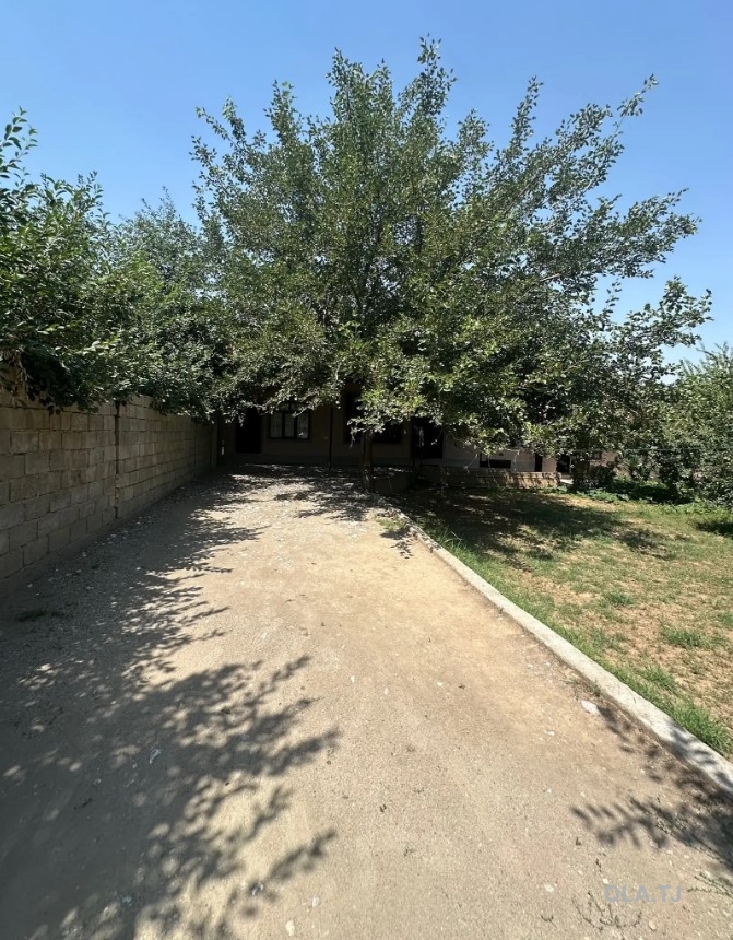 Дом (хавли), 5 комнат, 1 эт