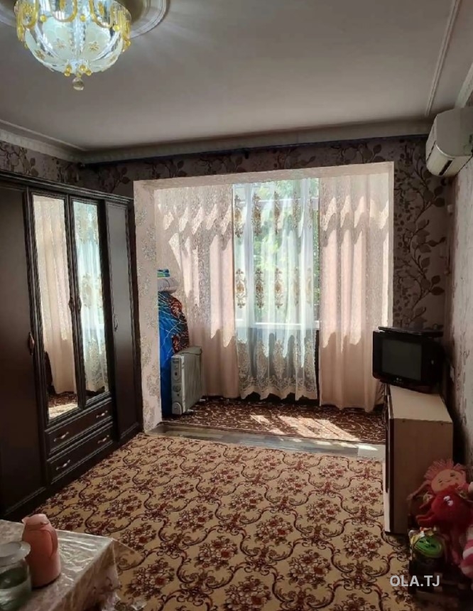 1 комнатная квартира, 1 этаж, 50 м²