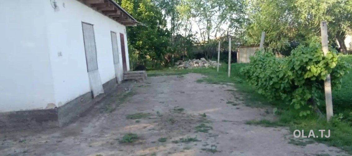 Дом (хавли), 2 комнат, 1 эт