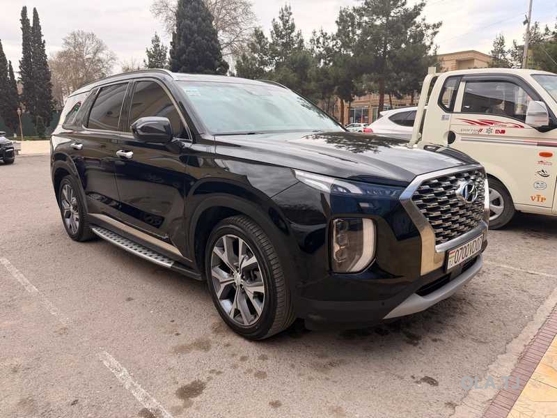 Hyundai Palisade,  2019