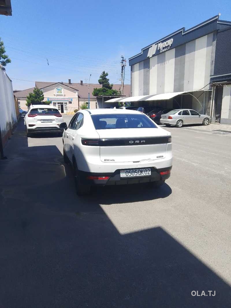 ORA iQ, 2019