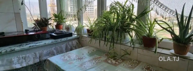 3 комнатная квартира, 5 этаж, 63 м²
