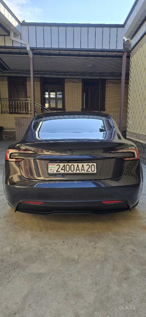 Tesla L3,  2025