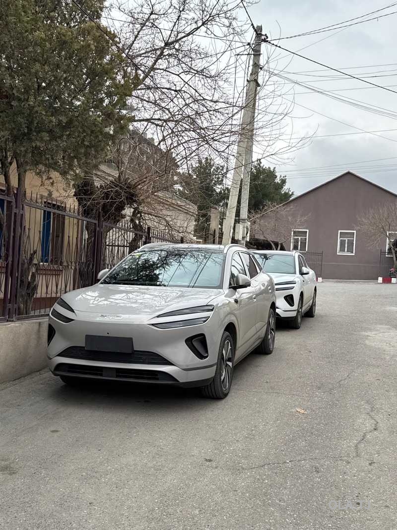 BYD Sea Lion 06,  2025