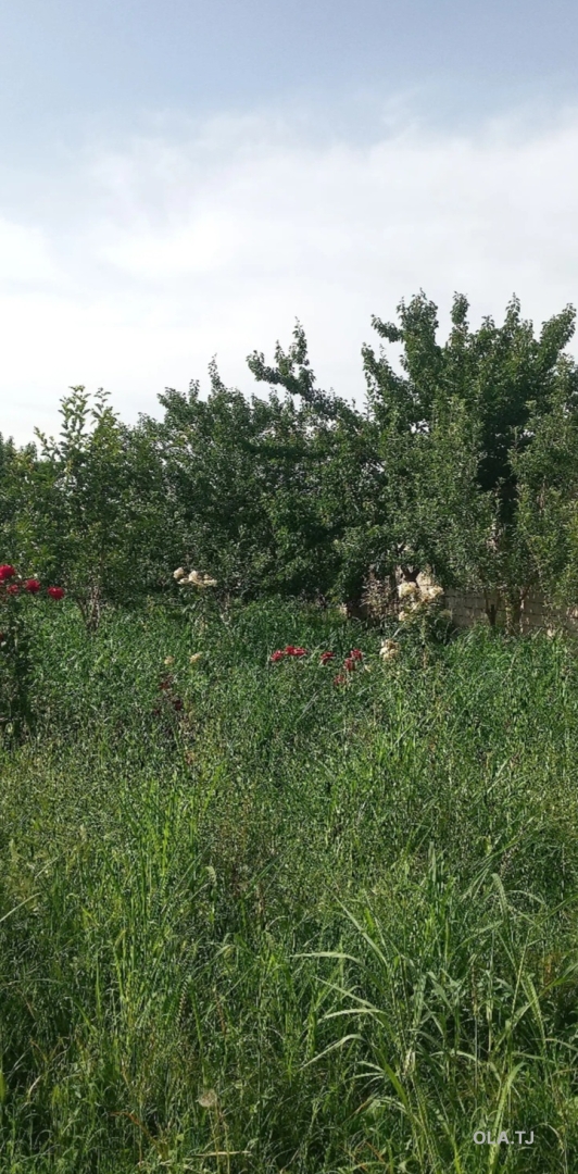 Дом (хавли), 7 комнат,