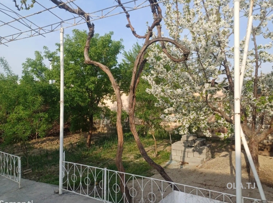 Дом (хавли), 6 комнат,