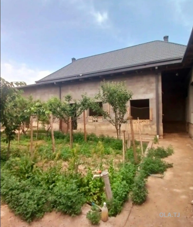 Дом (хавли), 10+ комнат, 1 эт