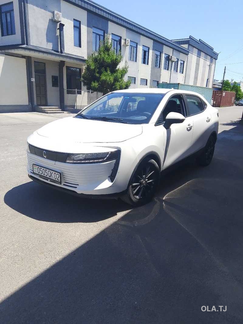 ORA iQ, 2019