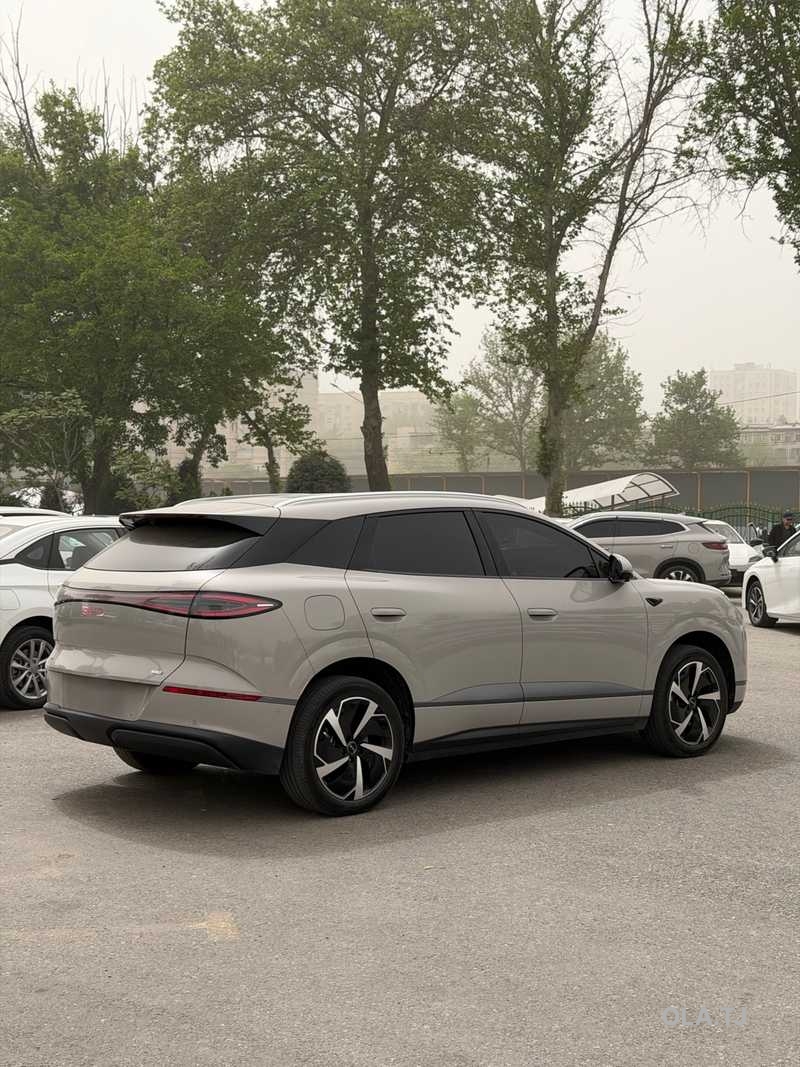 BYD Sea Lion 06,  2025