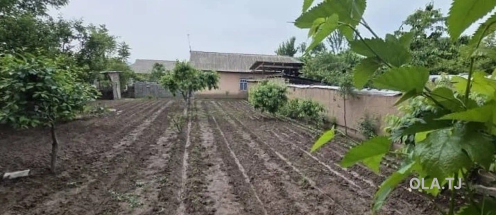 Дом (хавли), 3 комнат,