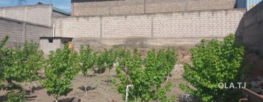 Дом (хавли), 1 комнат,