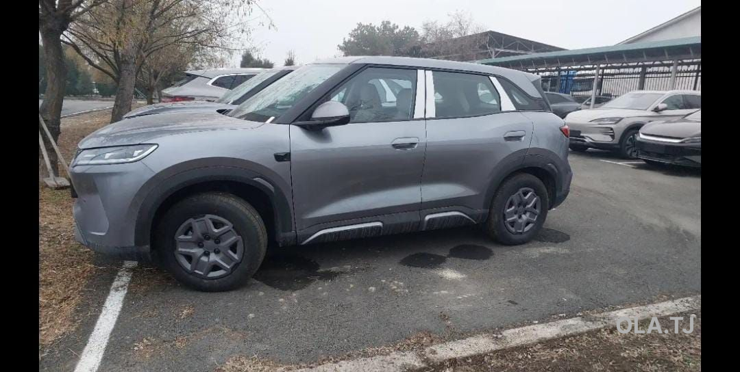 BYD Yuan Up,  2025