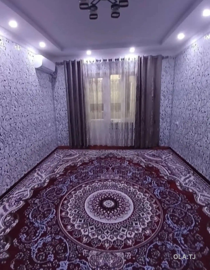 1 комнатная квартира, 1 этаж, 45 м²