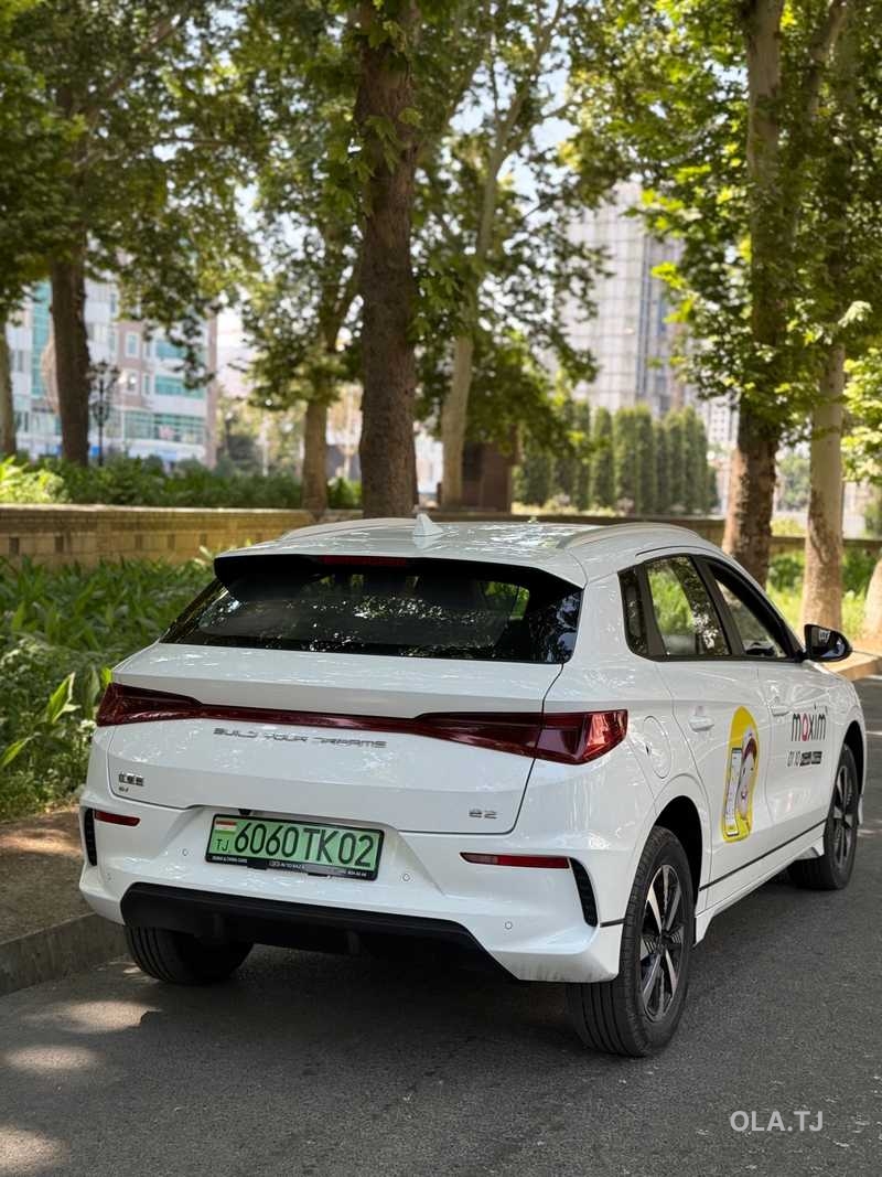 BYD E2,  2024
