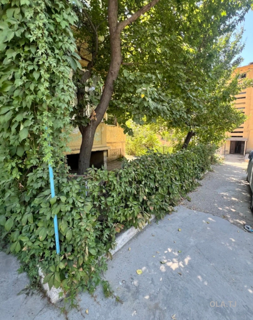 1 комнатная квартира, 1 этаж, 42 м²