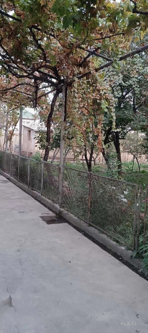 Дом (хавли), 10 комнат,