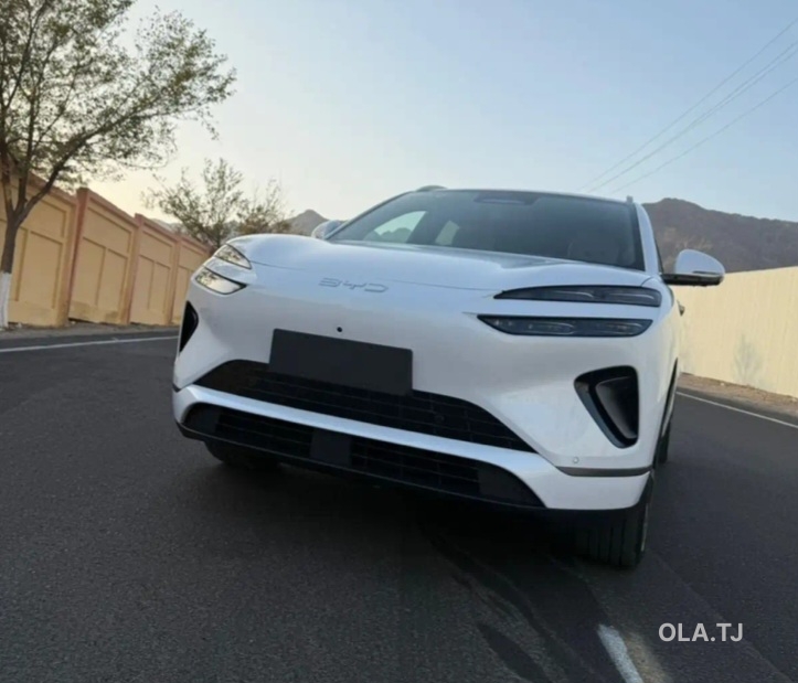 BYD Sea Lion 06,  2026