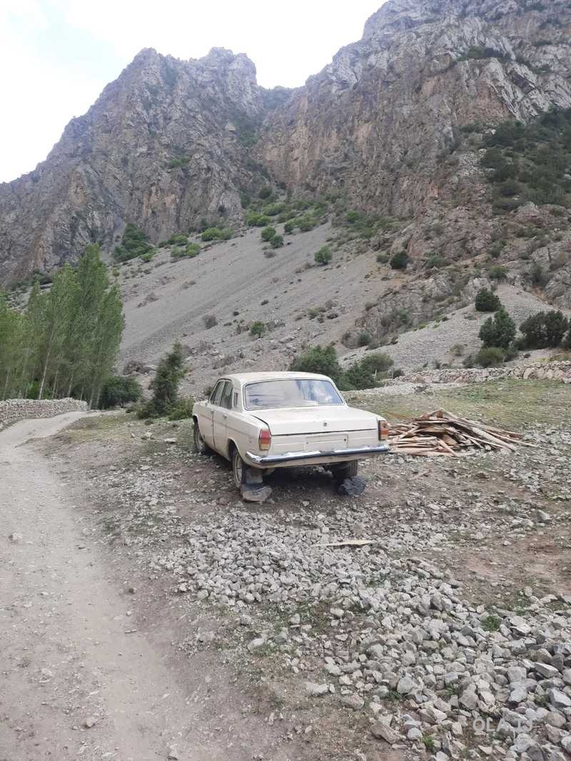 ГАЗ 24 Волга,  1996