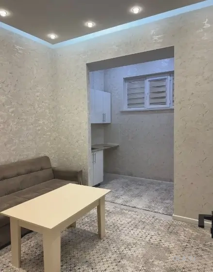 1 комнатная квартира, Цокольный этаж, 50 м²