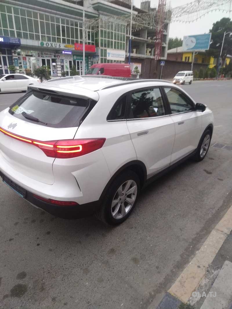 Weltmeister EX5, 2018