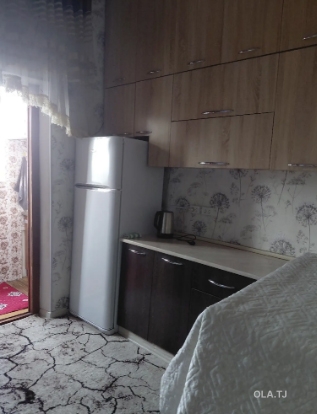1 комнатная квартира, 1 этаж, 40 м²