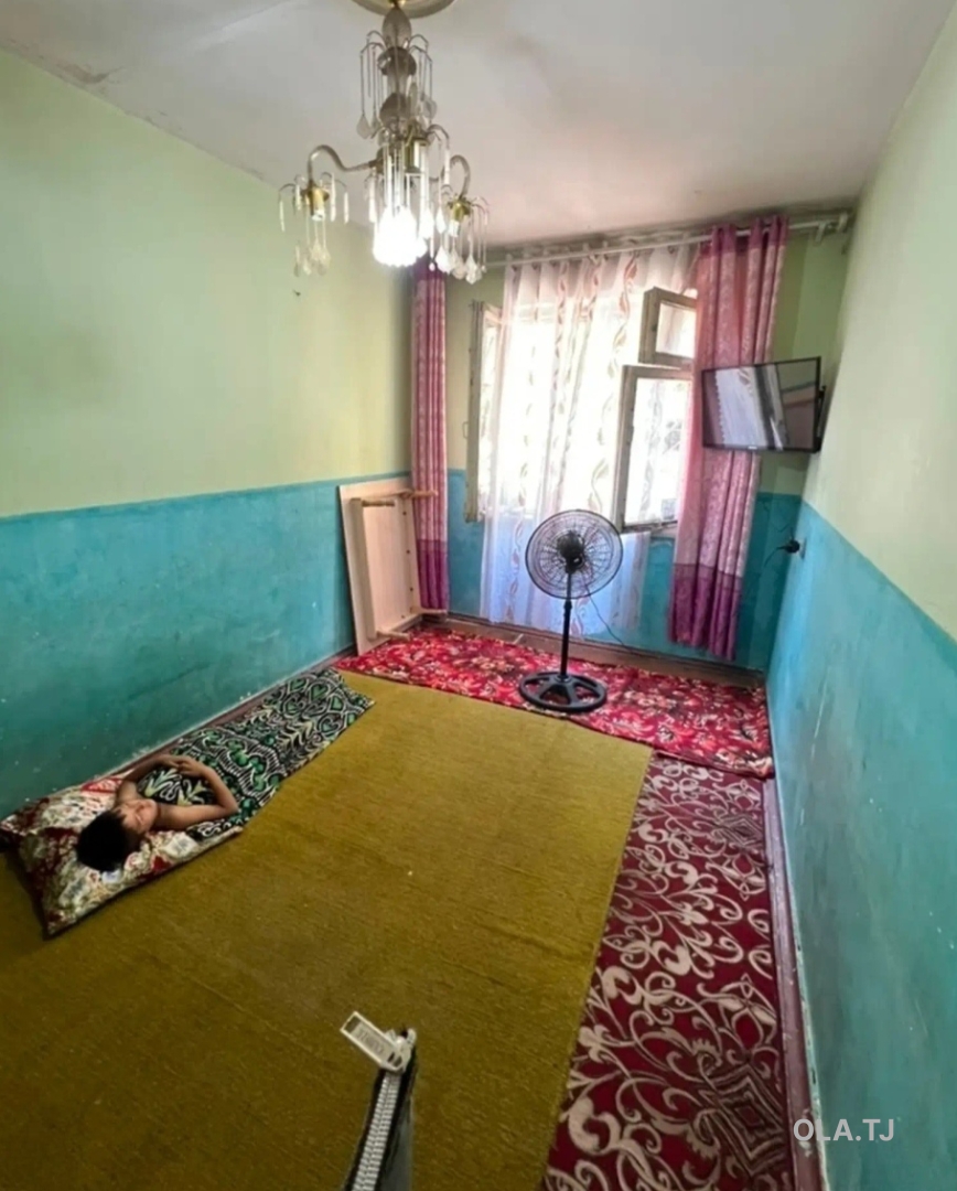 2 комнатная квартира, Цокольный этаж, 53 м²