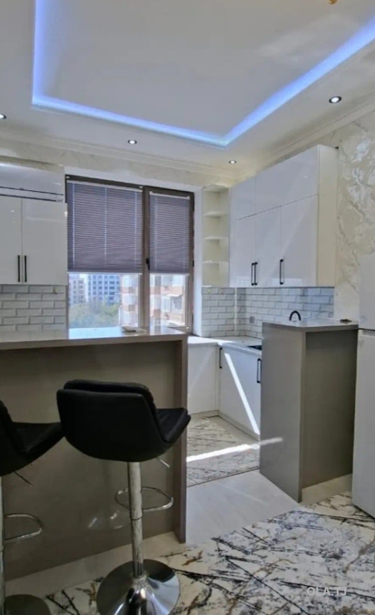 1 комнатная квартира, 4 этаж, 55 м²