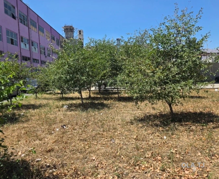 Офис в аренду, В бизнес-центре, 600 м²