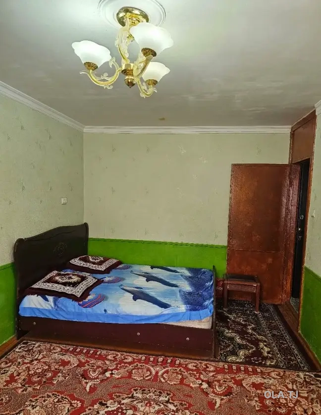 1 комнатная квартира, 1 этаж, 50 м²