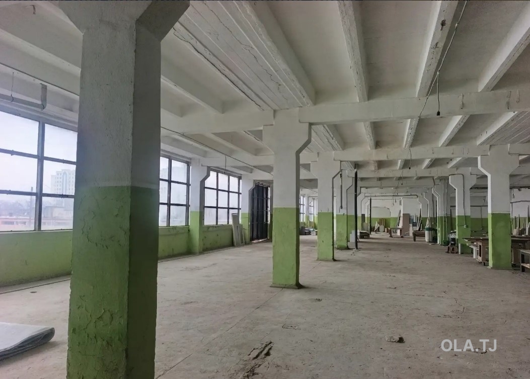 Помещение под свободное назначение, 550м²
