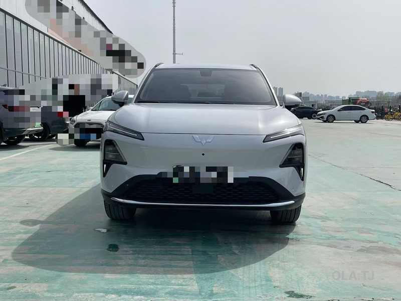 Wuling Starlight
