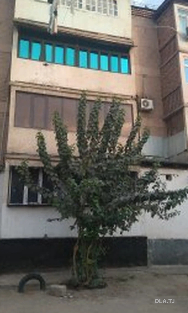 2 комнатная квартира, 1 этаж, 45 м²