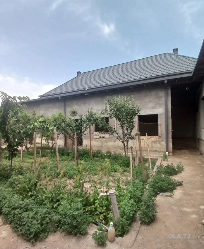 Дом (хавли), 10+ комнат, 1 эт